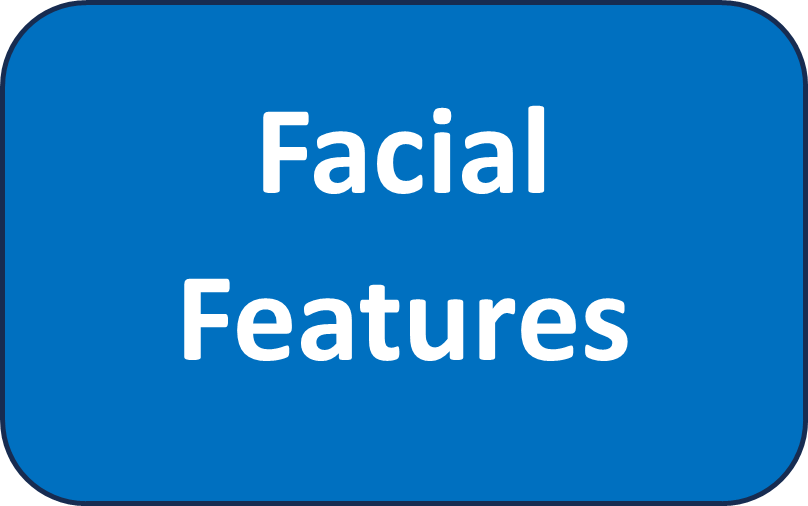 facial features