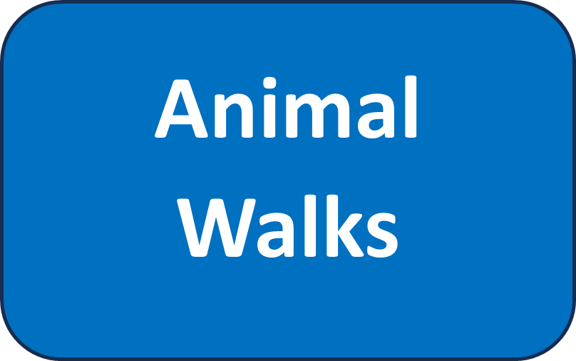 Animal Walks